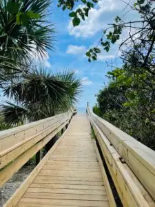 road to the beach