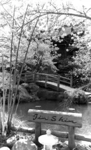 History Of Jin Shin