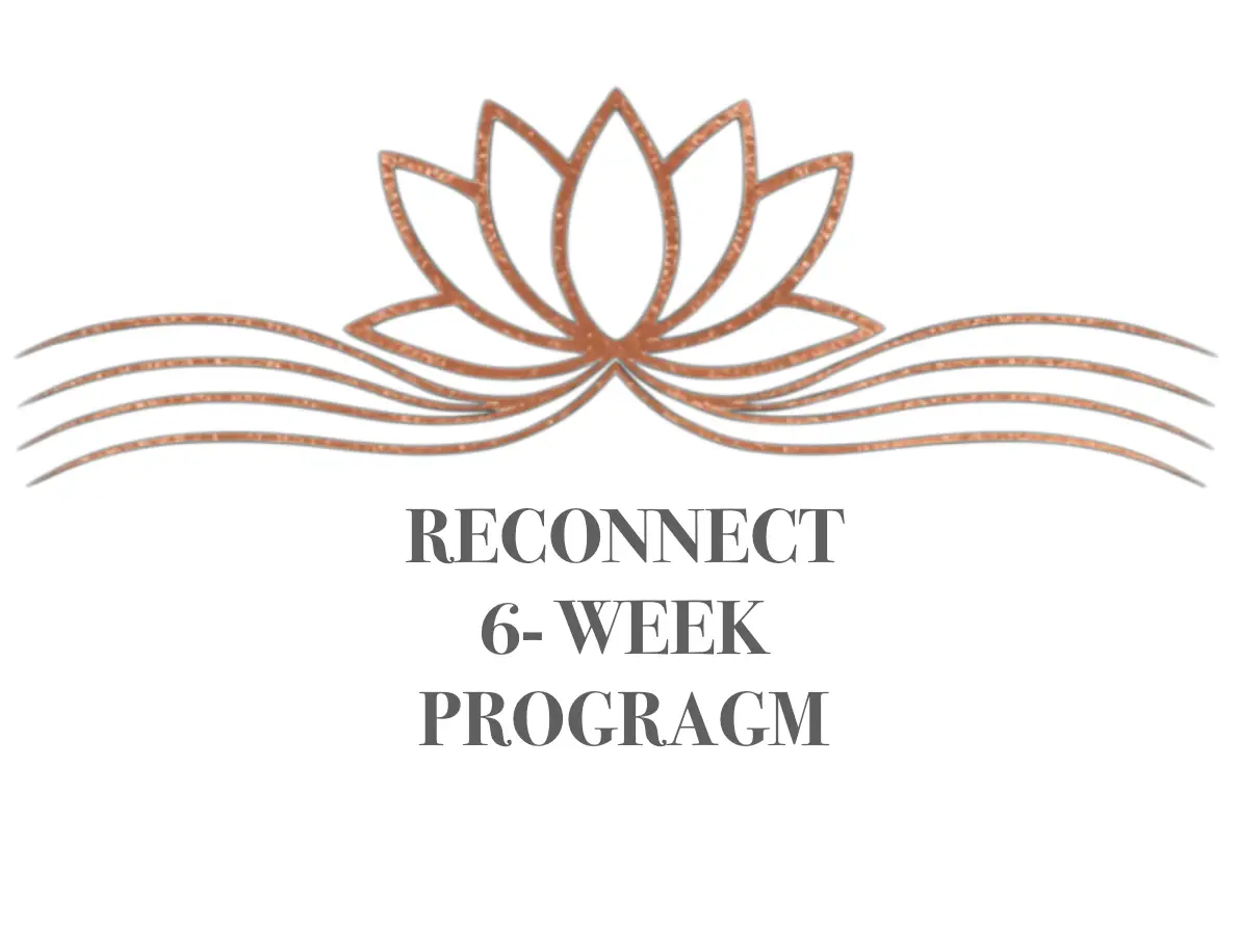 reconnect 6 week