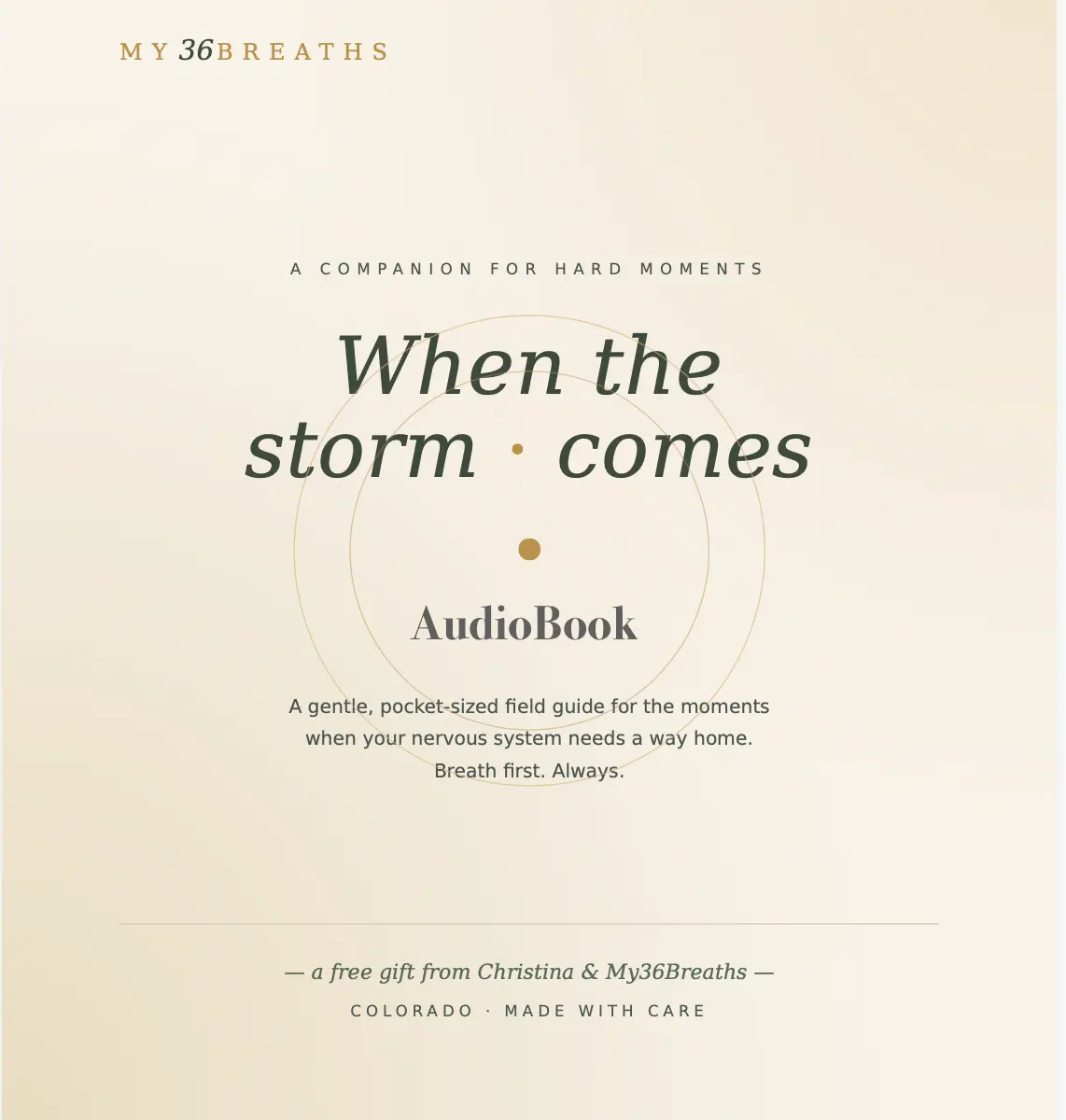 when the storm comes Audiobook