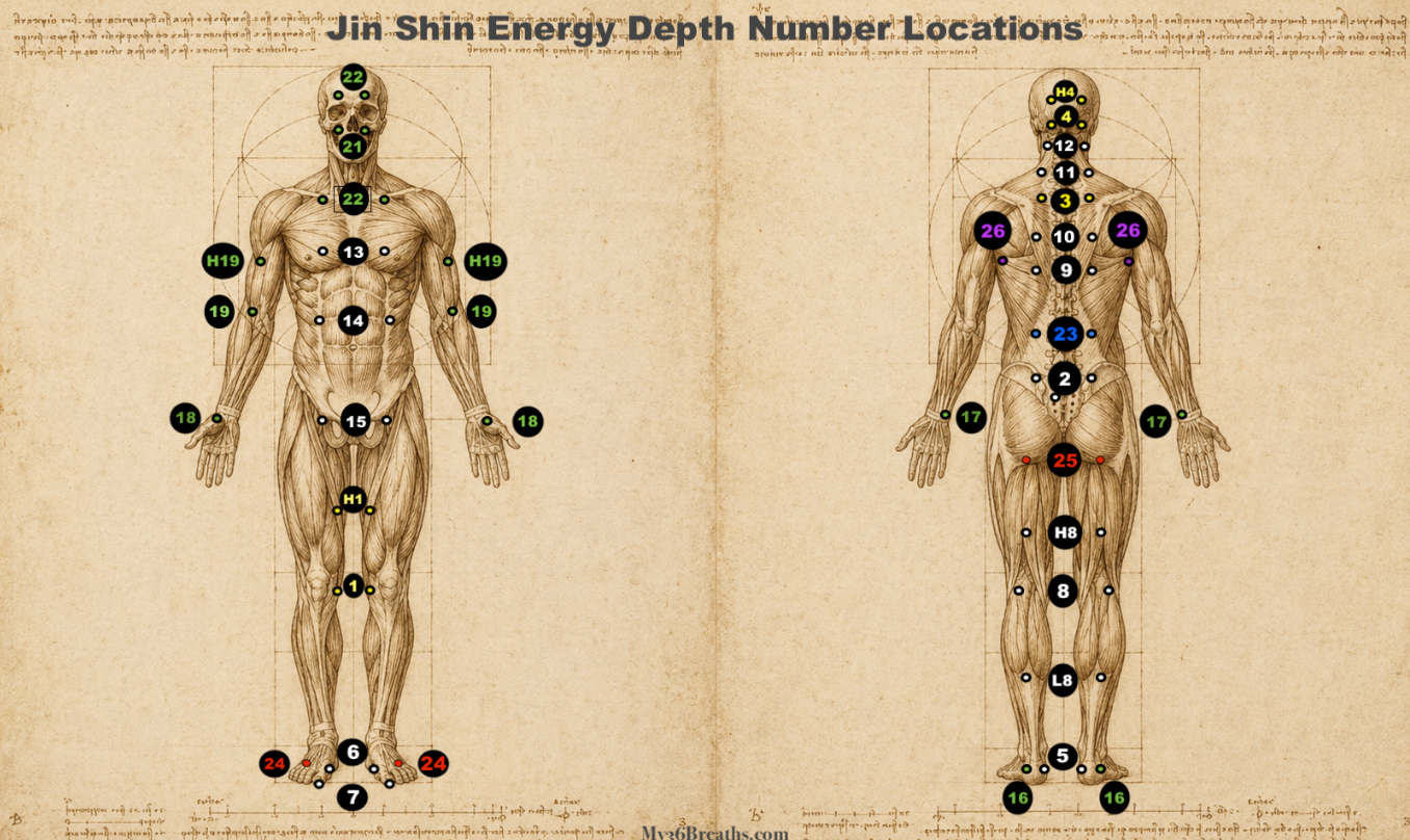 Jin Shin Jyutsu Energy Depth Number Locations chart showing front and back body point placements